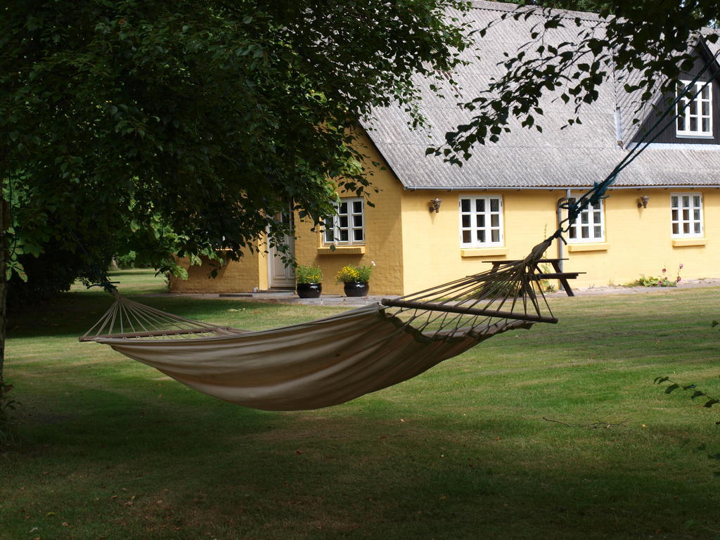 Faedrelandet & Turridning Farm stay