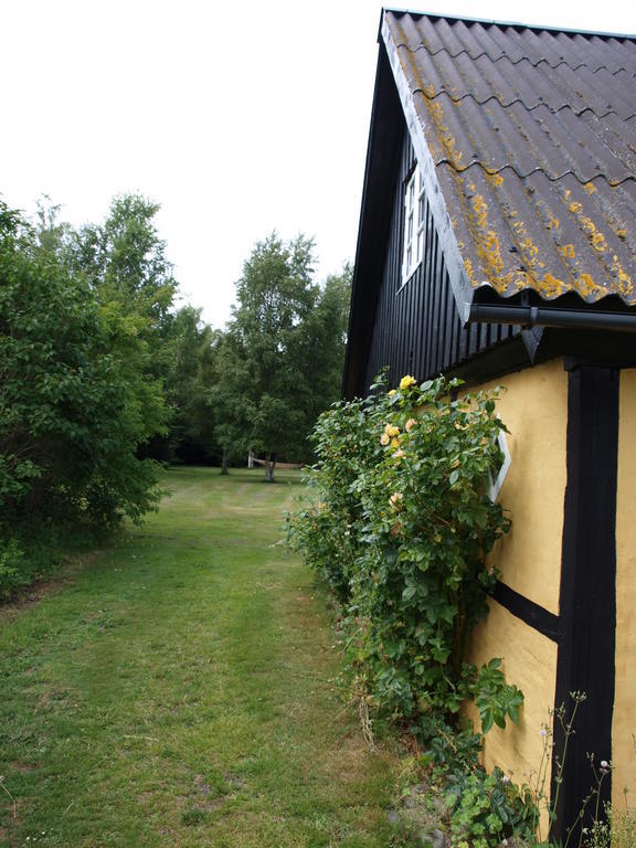 Séjour à la ferme Faedrelandet & Turridning