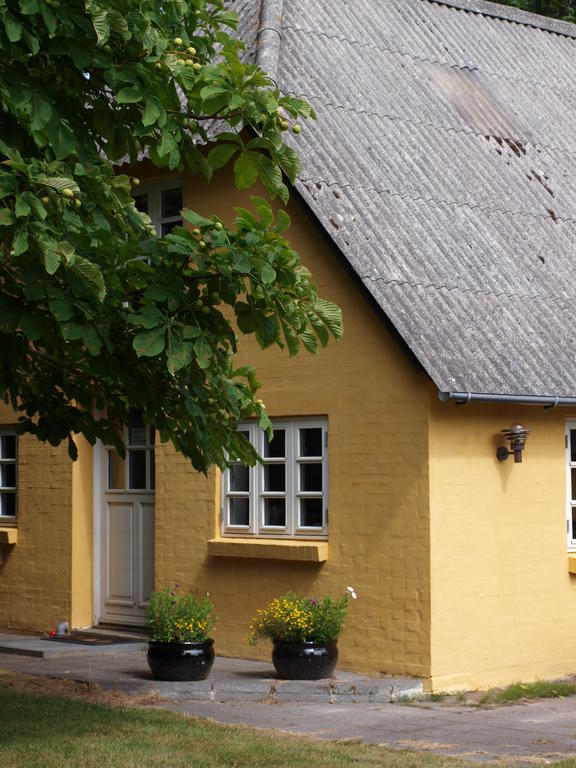 Farm stay Faedrelandet & Turridning *