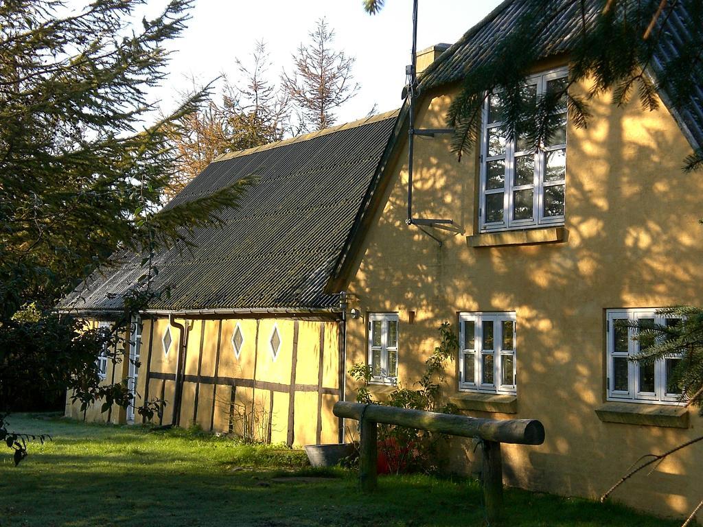 Faedrelandet & Turridning