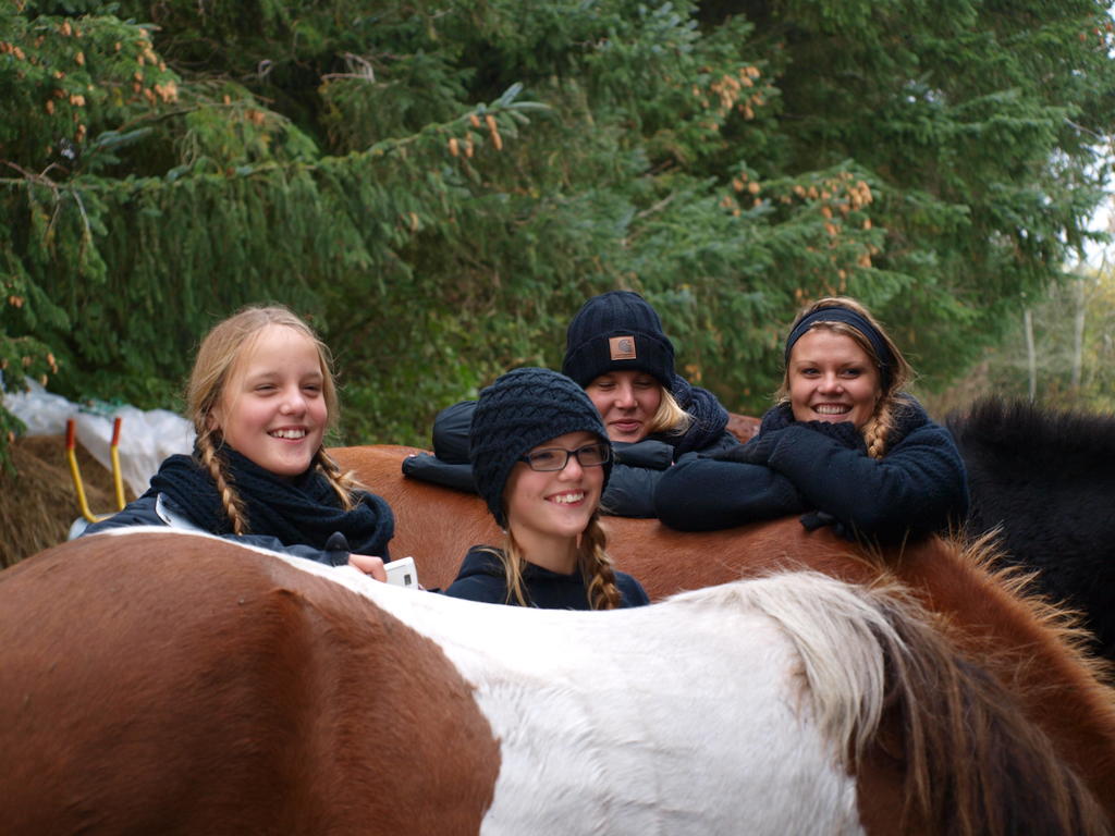 Séjour à la ferme Faedrelandet & Turridning Laeso