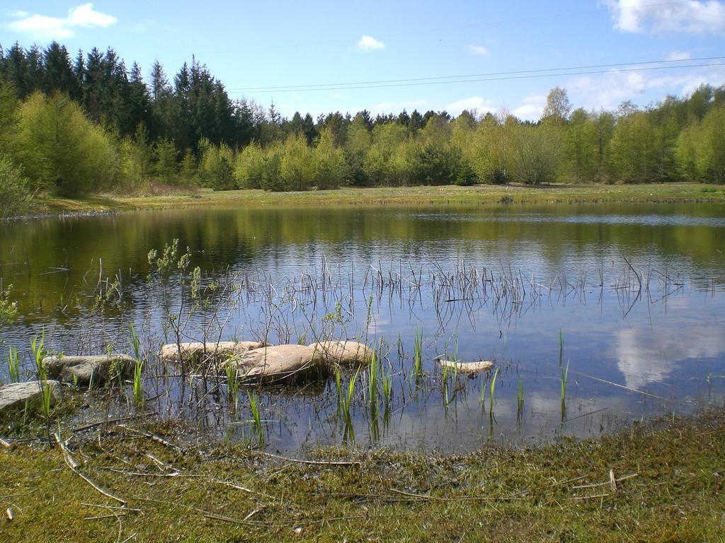Séjour à la ferme Faedrelandet & Turridning Laeso